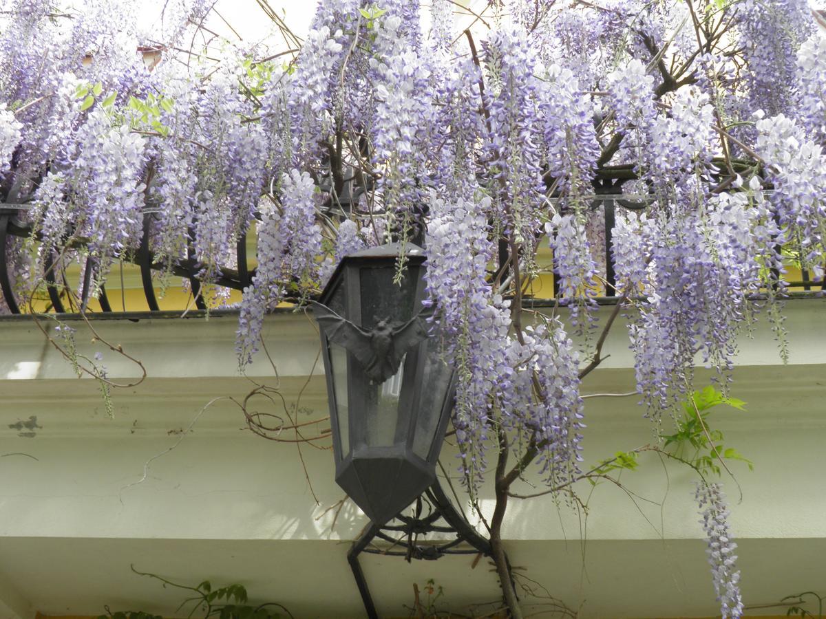 Fledermausschloss Lohsa ภายนอก รูปภาพ
